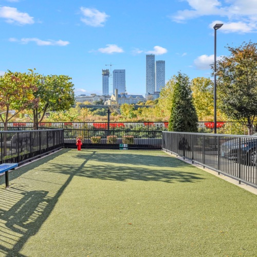 Dog Park  A perfect fit for the whole family